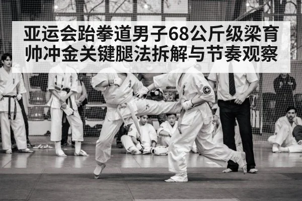 taekwondo competition