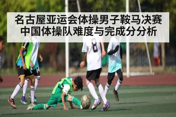 名古屋亚运会体操男子鞍马决赛中国体操队难度与完成分分析