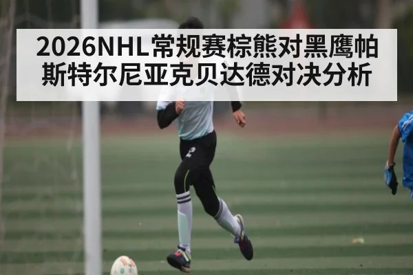2026NHL常规赛棕熊对黑鹰帕斯特尔尼亚克贝达德对决分析