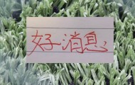 极速赛车投注-也是好消息！申花单场独造三球王牌 很有可能第四轮复出