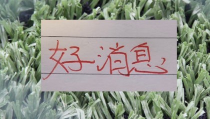 极速赛车投注-也是好消息！申花单场独造三球王牌 很有可能第四轮复出